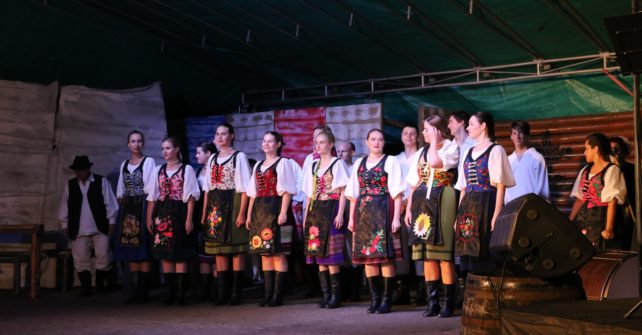 Ujcov Minifest za domom
